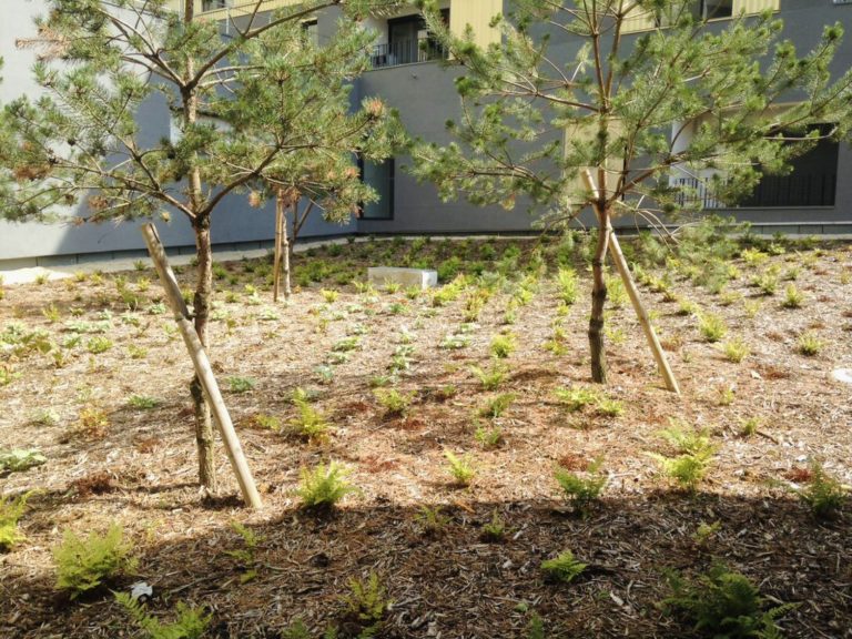 Entretien de massifs végétalisés dans un espace vert collectif en Île-de-France