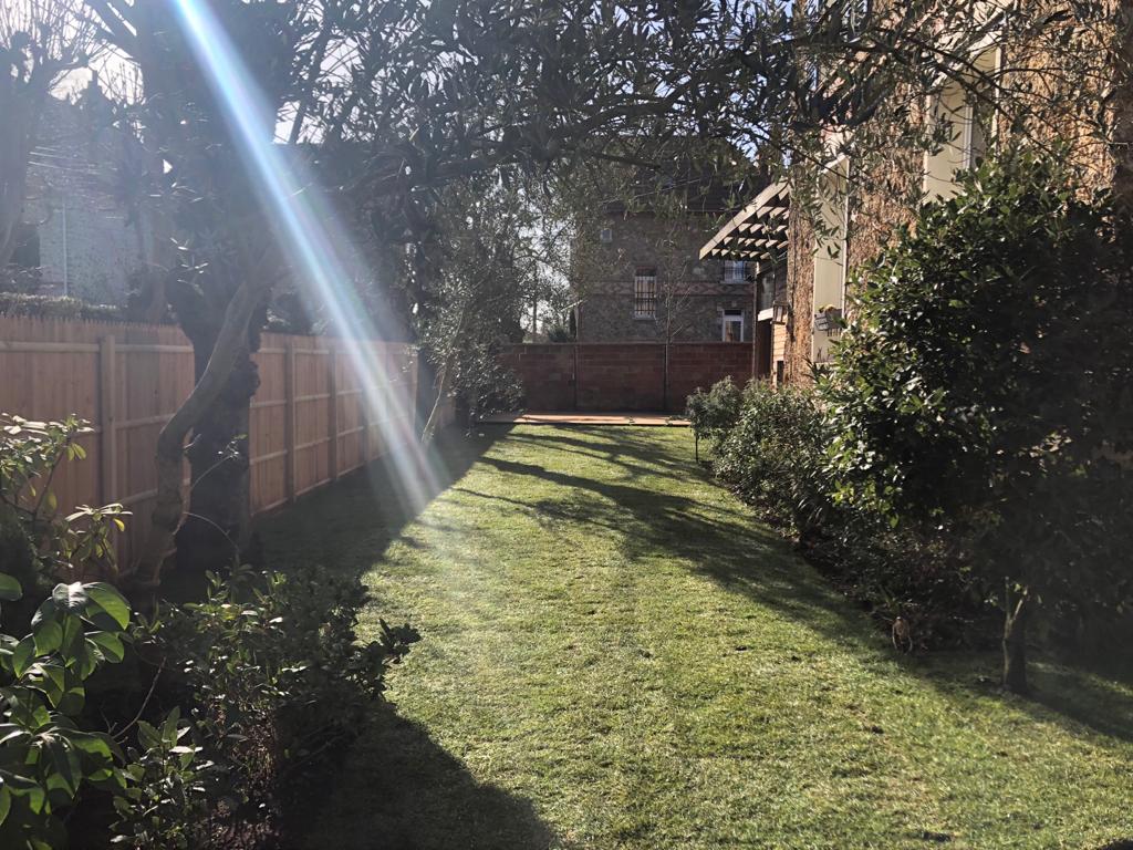 Terrasse en pin brun réalisée après abattage d’arbre à Maisons-Laffitte (78)