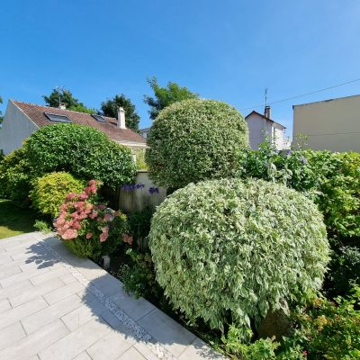Création de massifs paysagers et plantations en Yvelines