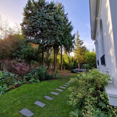 Aménagement de jardin avec pas japonais et plantations en Île-de-France