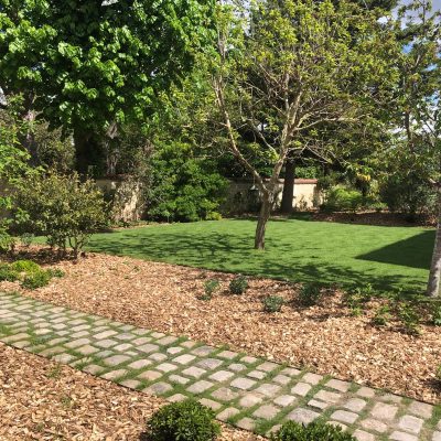 Aménagement paysager avec allée et végétaux en Île-de-France